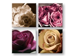 Slike na platnu Kingdom of roses 4-dijelna XOBKOL30E42