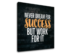 Motivaciona slika na platnu About success_006