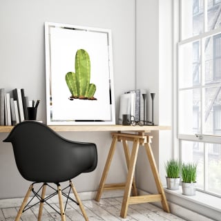 Slika na zrcalu Kaktus Mirrora 68 - 60x40 cm