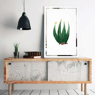 Slika na zrcalu Kaktus Mirrora 69 - 60x40 cm