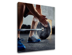 Motivacijska zidna slika o upornosti_005