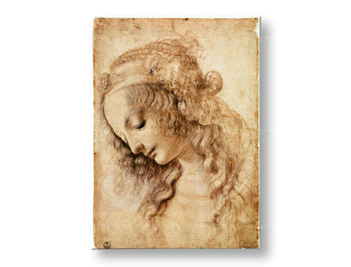 Slika na platnu GLAVA ŽENE – Leonardo Da Vinci