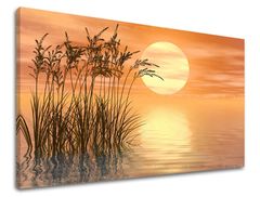 Zidna slika ABSTRAKT 40x60 cm