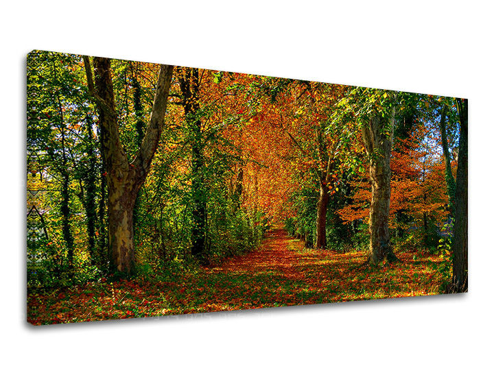 Zidna slika PANORAMA DRVEĆE 30x60 cm