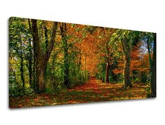 Zidna slika PANORAMA DRVEĆE 60x120 cm