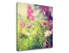 Zidna slika RUŽIČASTI CVIJEĆI_165-12