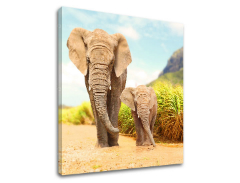 Zidna slika ŽIVOTINJE_049-12