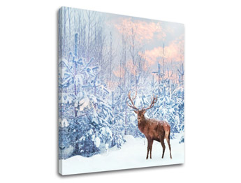 Zidna slika ŽIVOTINJE_053-12